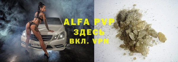 хмурый Верея