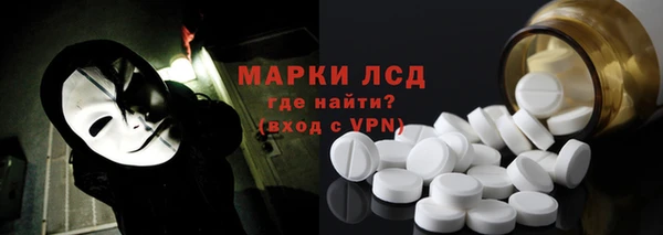 хмурый Верея