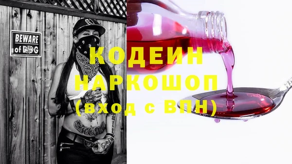хмурый Верея