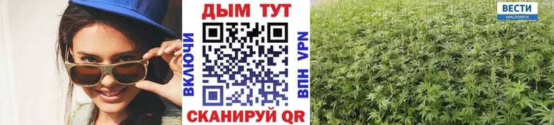 закладки  Александровское  Шишки марихуана сатива 